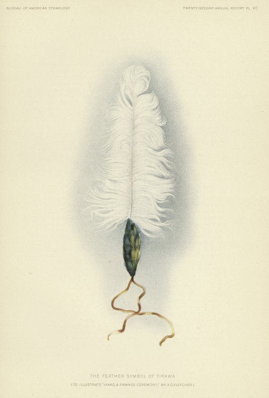 Symbol pióra Tirawy (kolorowa litografia) autorstwa American School