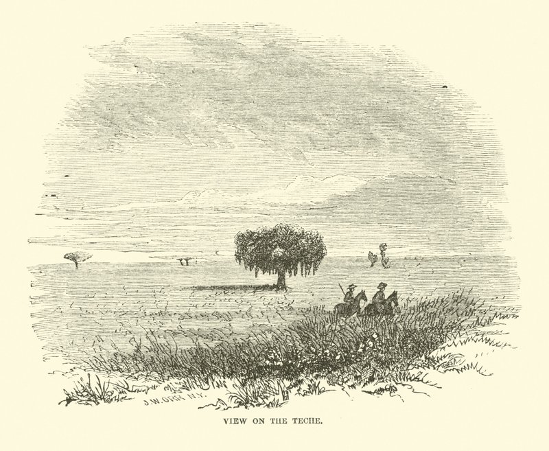 Widok na Teche, kwiecień 1863 autorstwa American School