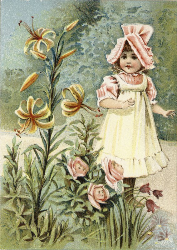 Możemy porozmawiać, powiedziała tygrysia lilia autorstwa American School