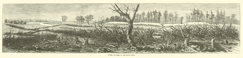 Prace przechwycone przez Szósty Korpus, kwiecień 1865 autorstwa American School