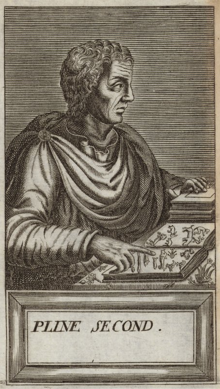 Gajusz Pliniusz Cecyliusz Secundus autorstwa Andre Thevet