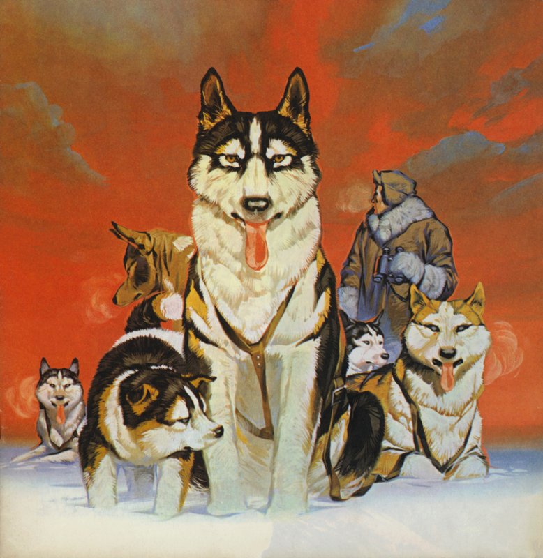 Huskies (kolorowa litografia) autorstwa Angus McBride