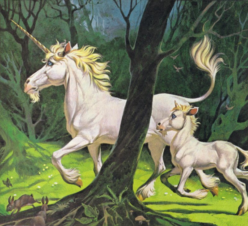 Jednorożce (kolorowa litografia) autorstwa Angus McBride