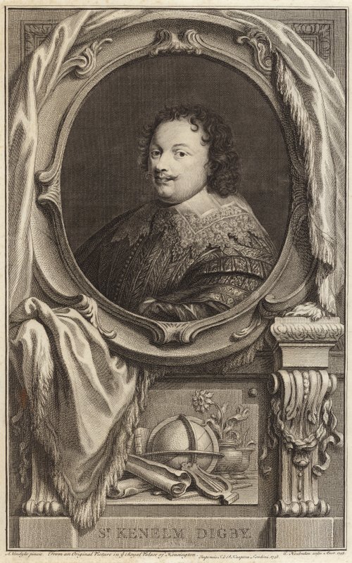 Portret Sir Kenelma Digby autorstwa Anthony van Dyck