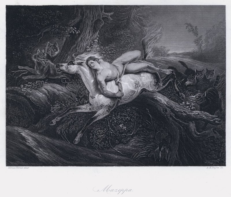 Mazeppa (grawerowanie) autorstwa Antoine Charles Horace Vernet