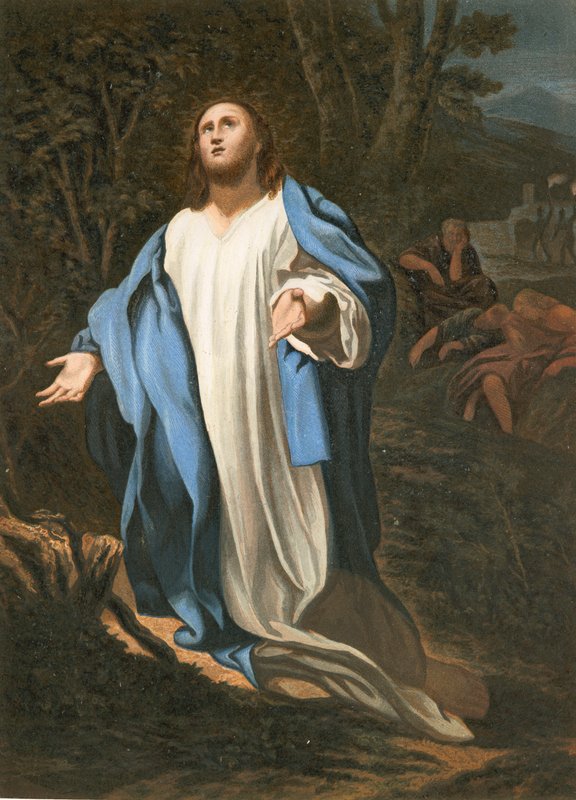 په باغپولي کې د مسیح درد autorstwa Antonio da Correggio