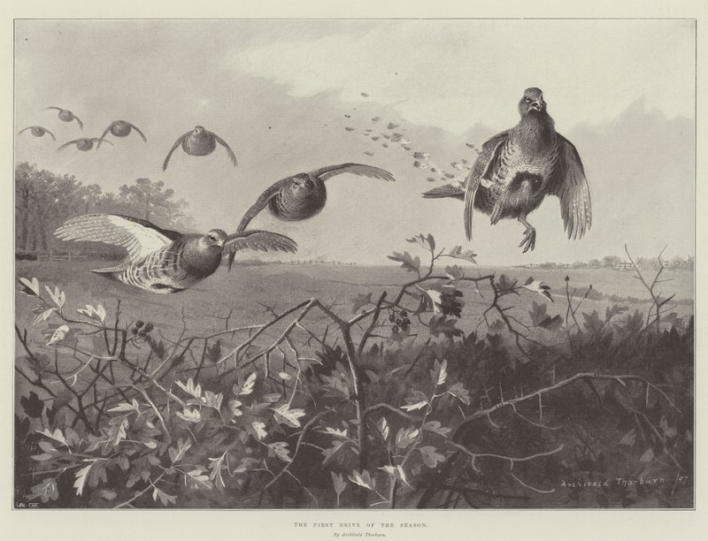 Pierwsza jazda sezonu autorstwa Archibald Thorburn