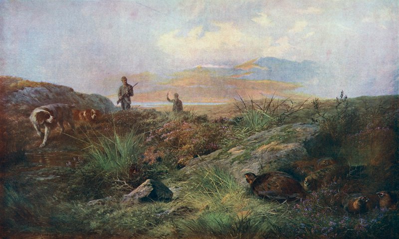 Niepewność autorstwa Archibald Thornburn