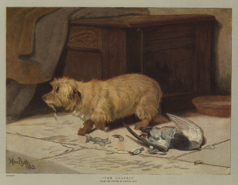 Sprawca (chromolitho) autorstwa Arthur Batt