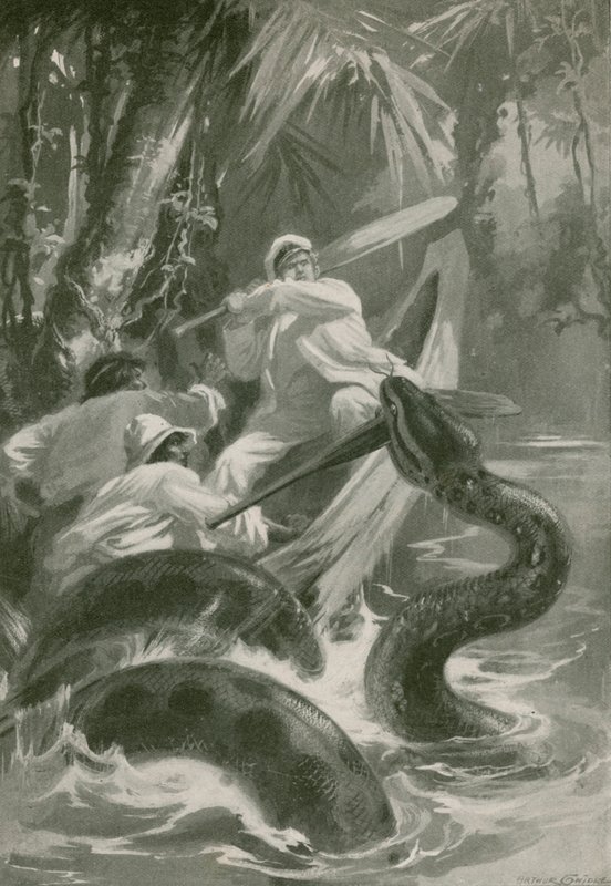 Wąż pies autorstwa Arthur Twidle