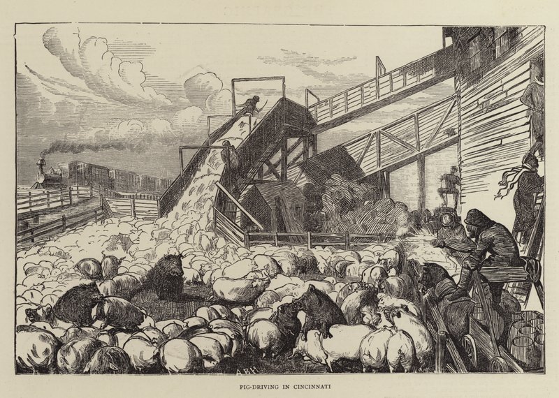 Prowadzenie świń w Cincinnati autorstwa Arthur Boyd Houghton