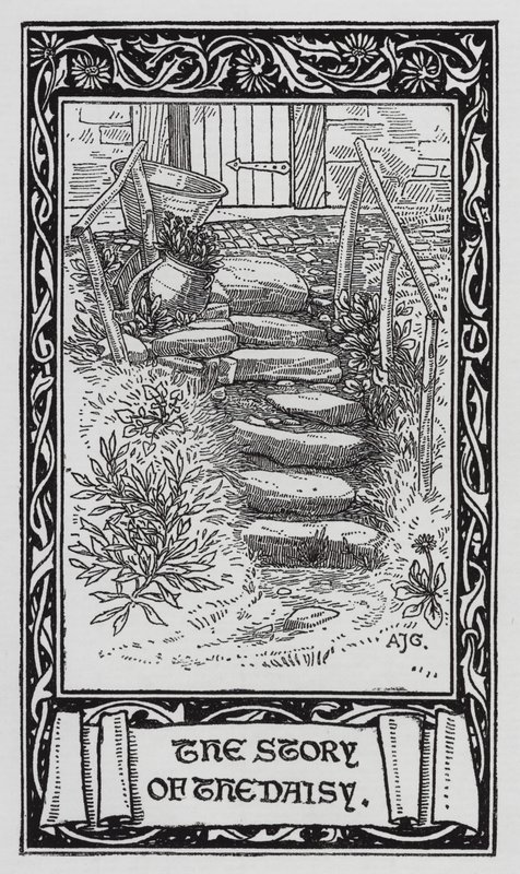 Hans Christian Andersen: Stokrotka (lito) autorstwa Arthur Joseph Gaskin
