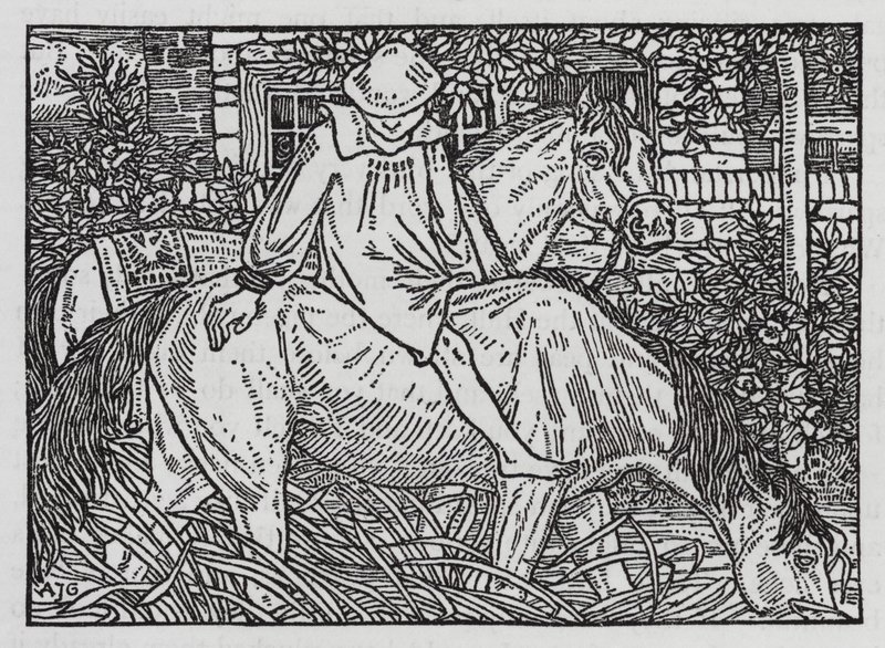Hans Christian Andersen: Sąsiednie rodziny (lito) autorstwa Arthur Joseph Gaskin