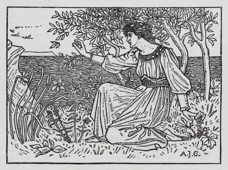 Hans Christian Andersen: Dzikie łabędzie (lito) autorstwa Arthur Joseph Gaskin