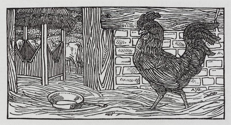 Hans Christian Andersen: „Nie ma co do tego wątpliwości” (litografia) autorstwa Arthur Joseph Gaskin
