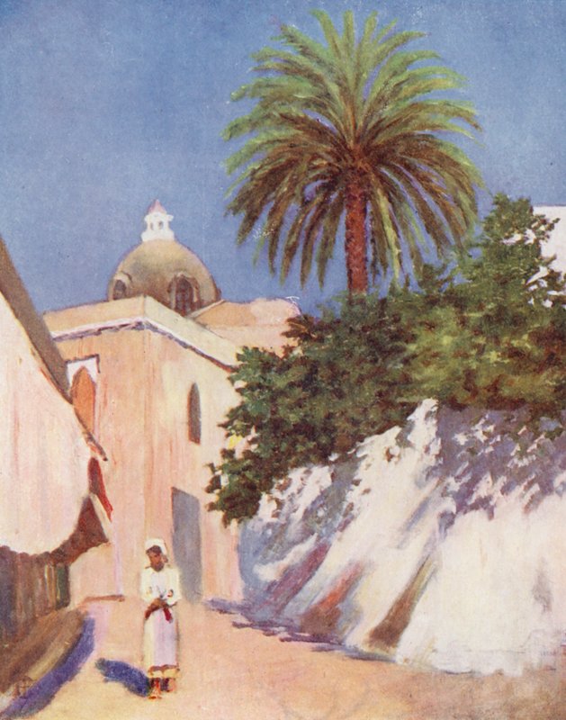 Ulica, Capri (kolorowa litografia) autorstwa Augustine Fitzgerald