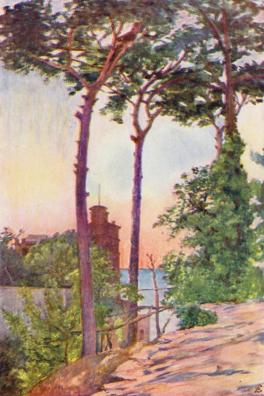 Villa Crawford (kolorowa litografia) autorstwa Augustine Fitzgerald