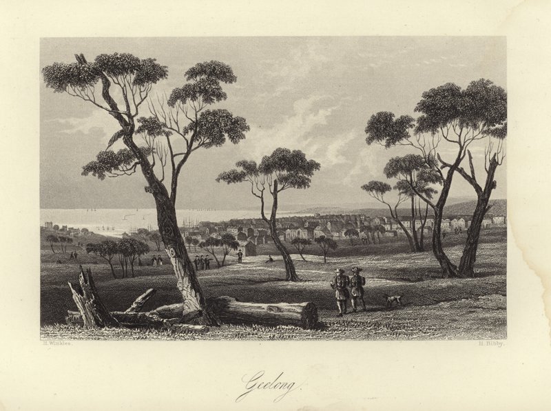Geelong autorstwa Australian School