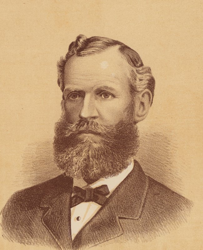 Czcigodny George Henry Cox (kolorowa litografia) autorstwa Australian School