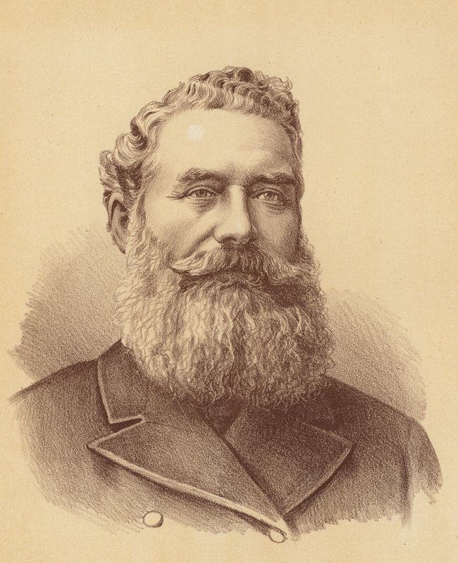 Szanowny James White (kolorowa litografia) autorstwa Australian School