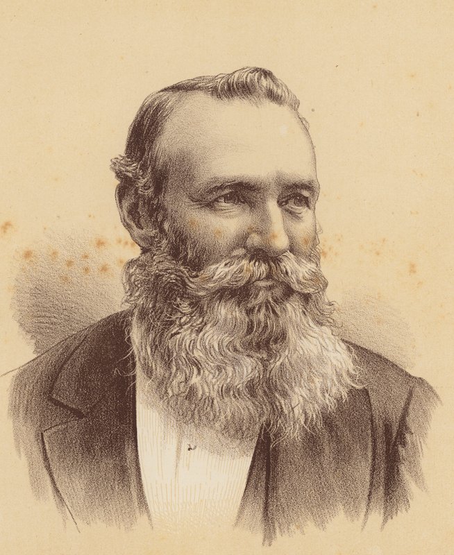 William Alston Hutchinson, Esquire (kolorowa litografia) autorstwa Australian School