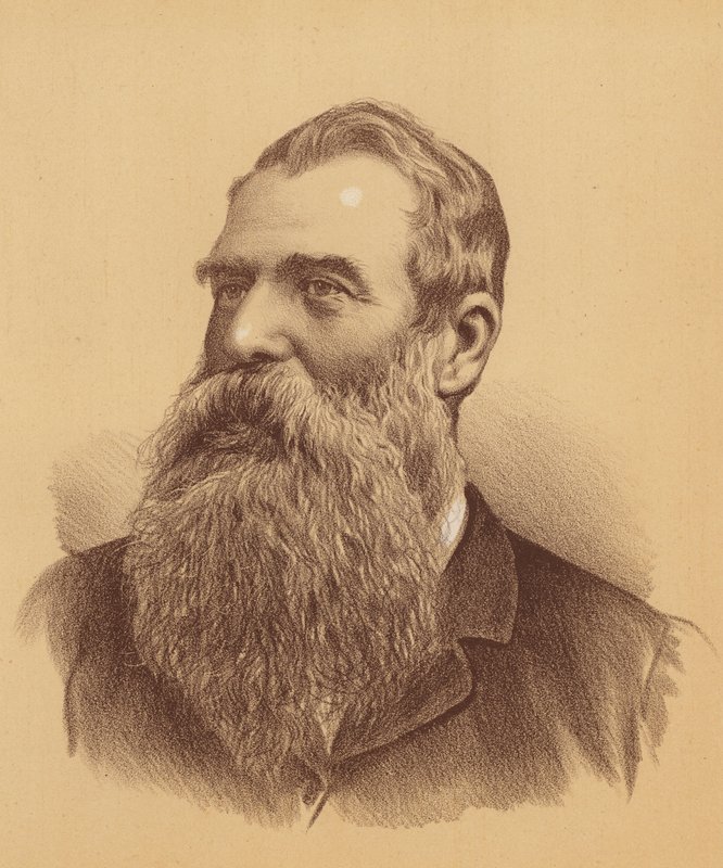 William Henry Paling, Esquire (kolorowa litografia) autorstwa Australian School