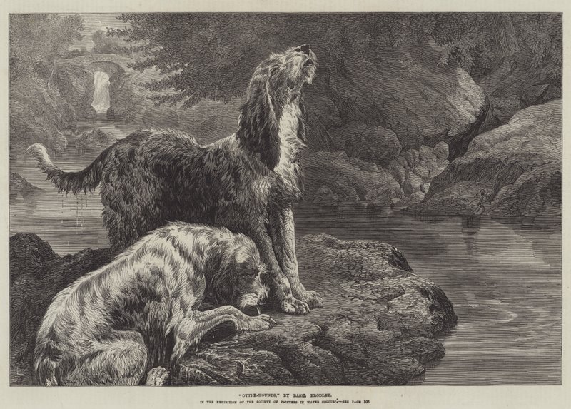 Otter-Hounds autorstwa Basil Bradley