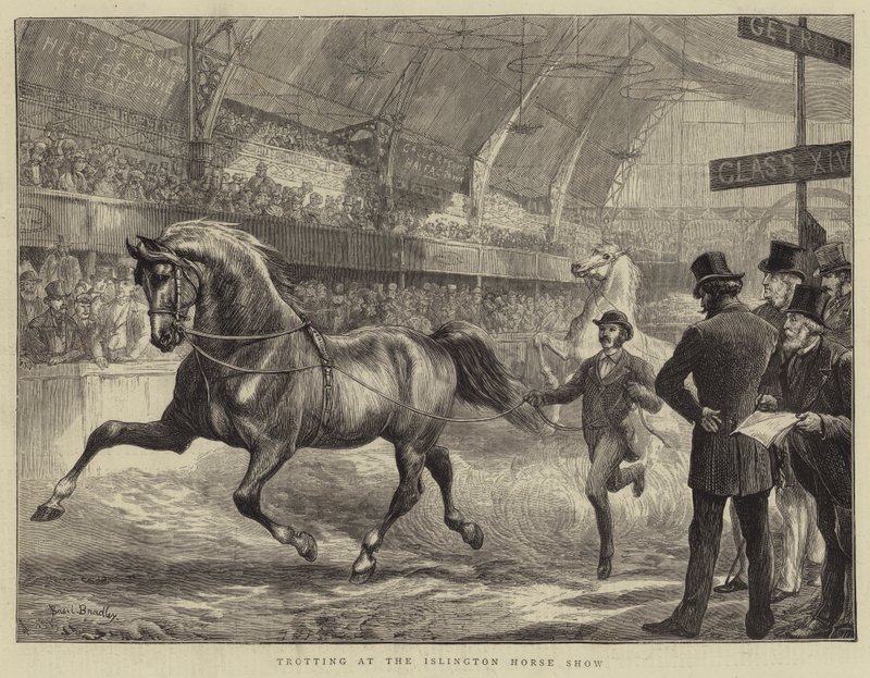 Kłus na Islington Horse Show autorstwa Basil Bradley