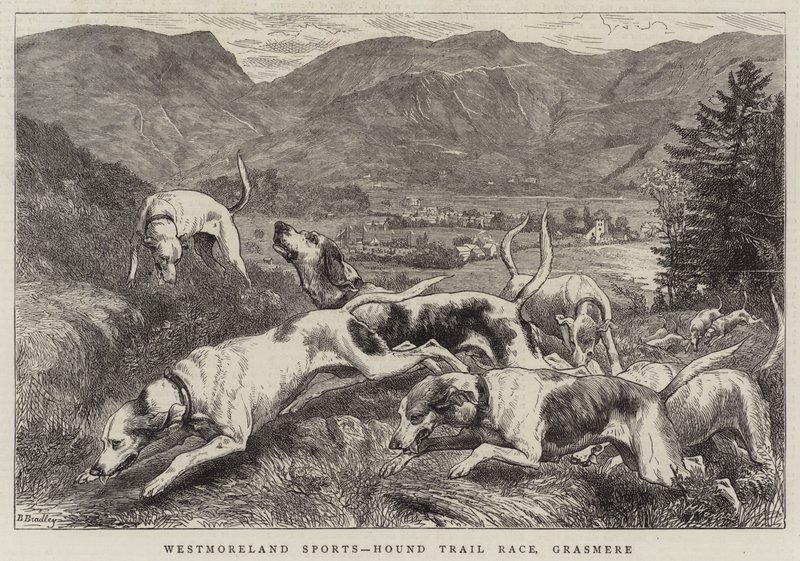 Westmoreland Sports, Hound Trial Race, Grasmere autorstwa Basil Bradley