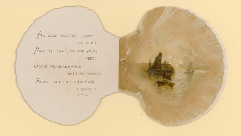 Ilustracja do broszury zatytułowanej Sea Shells (kolor lito) autorstwa Benjamin D. Sigmund