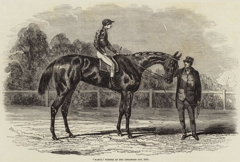 Nancy, zwycięzca Goodwood Cup, 1851 autorstwa Benjamin Herring
