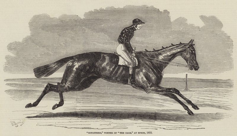 Songstress, zwyciężczyni The Oaks, w Epsom, 1852 r. autorstwa Benjamin Herring
