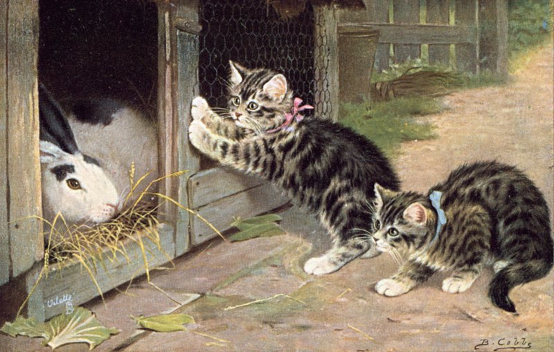 Pocztówka z kotem (kolorowa litografia) autorstwa Bernard Cobbe