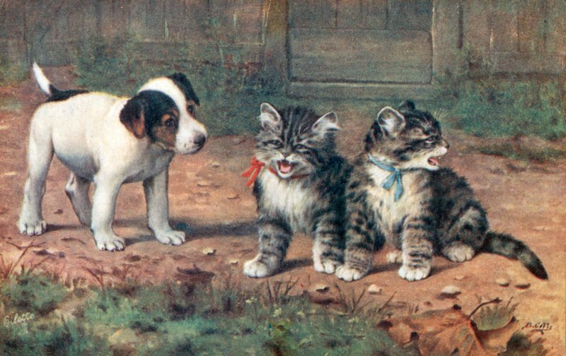 Pocztówka z kotem (kolorowa litografia) autorstwa Bernard Cobbe