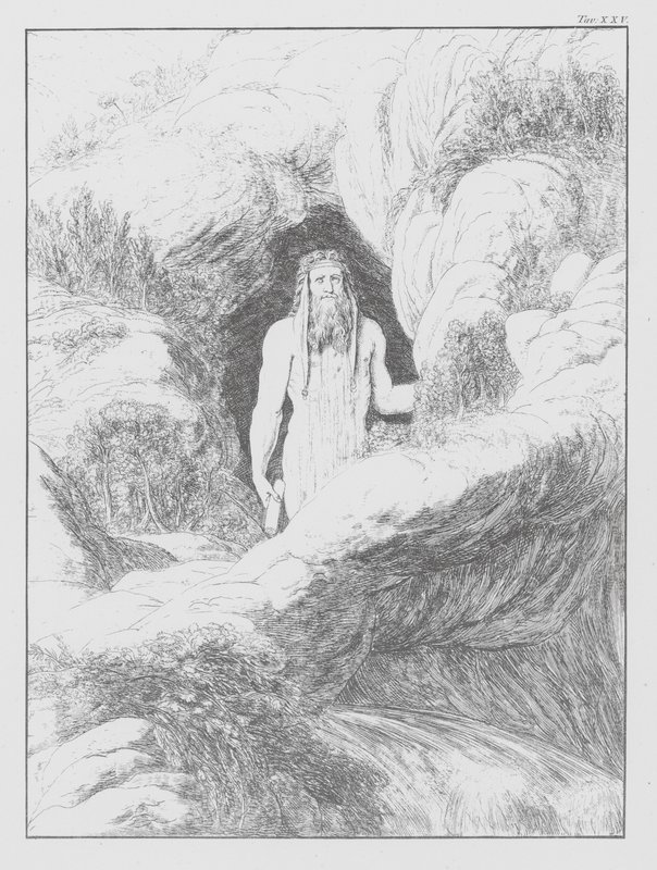 Boska komedia Dantego, Piekło, plansza XXV (litografia) autorstwa Bernhard Schuler