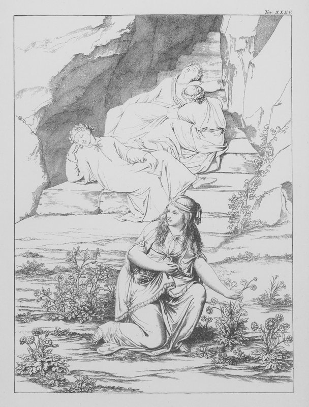 Boska komedia Dantego, Purgatorio (Czyściec), plansza XXXV (litografia) autorstwa Bernhard Schuler
