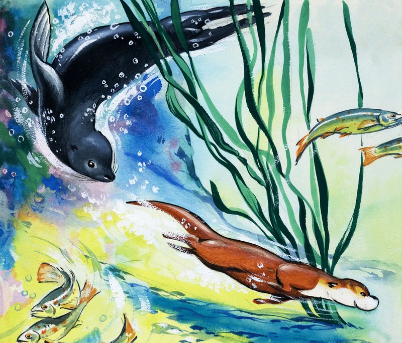Fliptail the Otter; autorstwa Bert Felstead