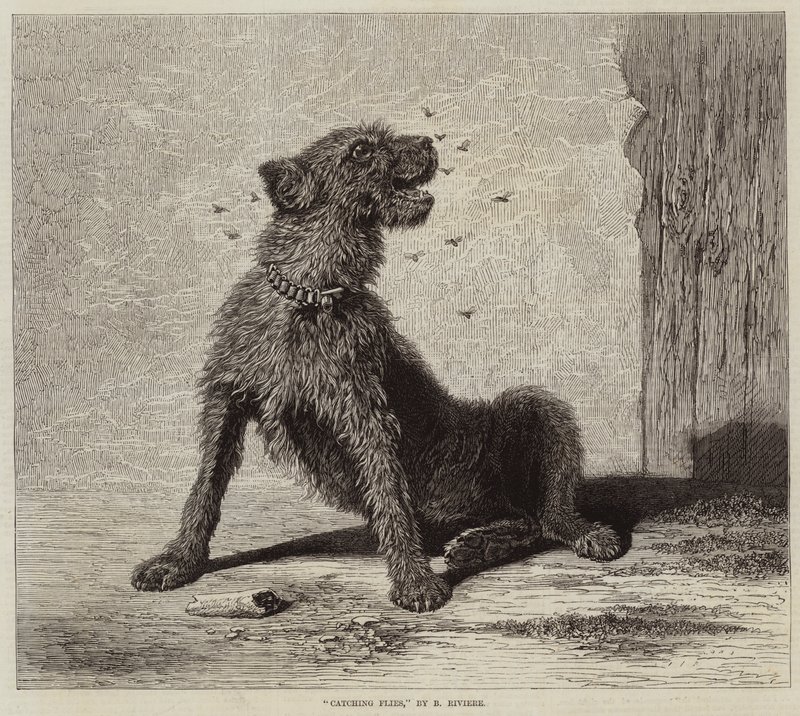 Łapanie much autorstwa Briton Riviere