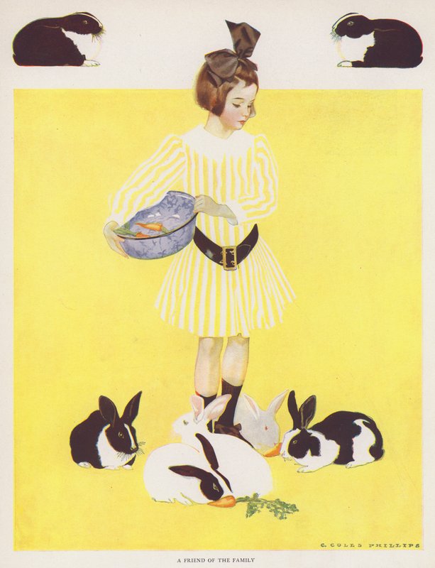 Coles Phillips Girl, Przyjaciel rodziny (kolor lito) autorstwa C. Coles Phillips