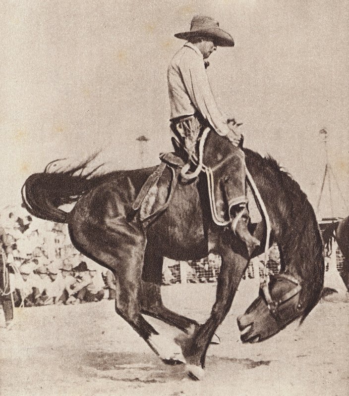 Kowboj ujeżdżający bronco (zdjęcie czarno-białe) autorstwa Canadian Photographer