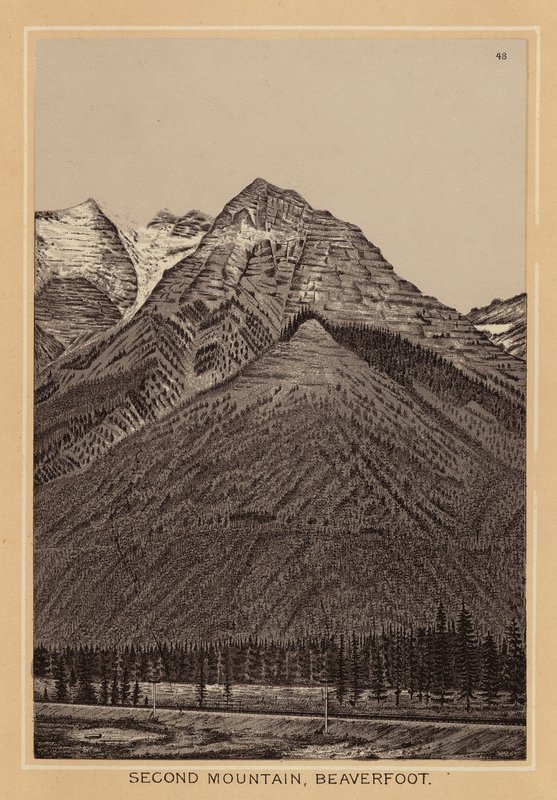 Kanada: Second Mountain, Beaverfoot (litografia) autorstwa Canadian School