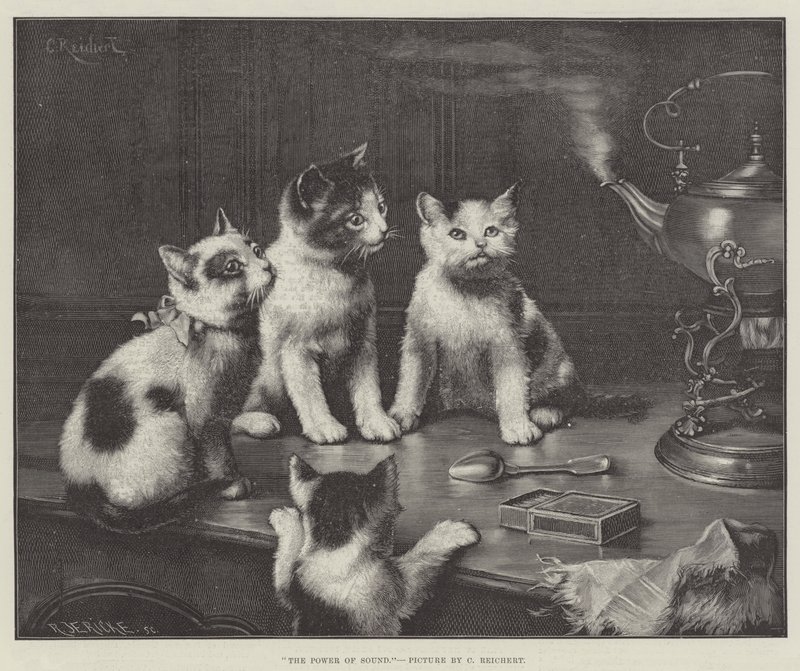 Potęga dźwięku autorstwa Carl Reichert