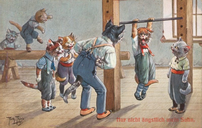 Humorystyczna pocztówka z kotem (kolorowa litografia) autorstwa Carl Robert Arthur Thiele