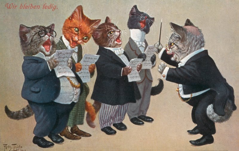 Humorystyczna pocztówka z kotem (kolorowa litografia) autorstwa Carl Robert Arthur Thiele