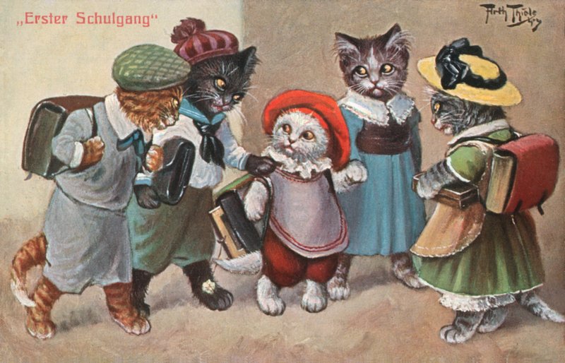 Humorystyczna pocztówka z kotem (kolorowa litografia) autorstwa Carl Robert Arthur Thiele