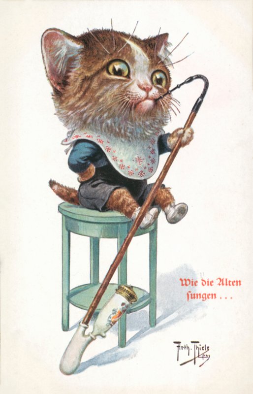 Humorystyczna pocztówka z kotem (kolorowa litografia) autorstwa Carl Robert Arthur Thiele