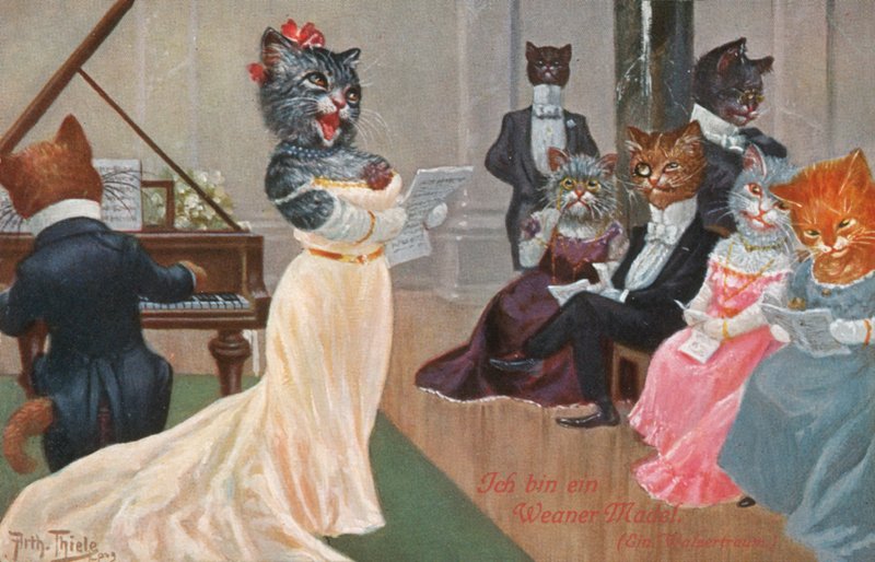 Humorystyczna pocztówka z kotem (kolorowa litografia) autorstwa Carl Robert Arthur Thiele