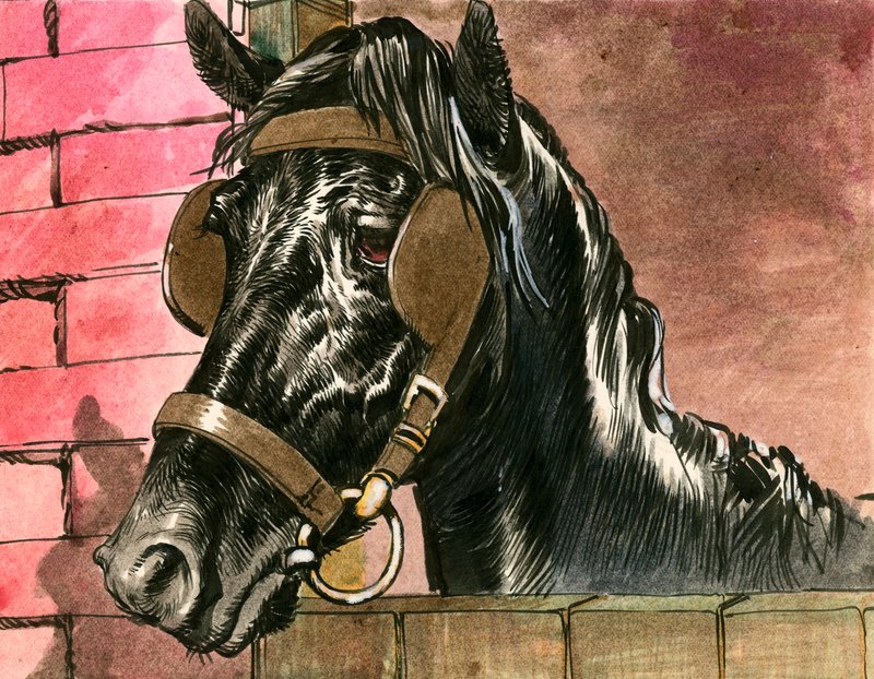 Black Beauty autorstwa Carlos Gabriel Roume