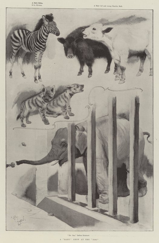 Pokaz dla dzieci w zoo autorstwa Cecil Charles Windsor Aldin