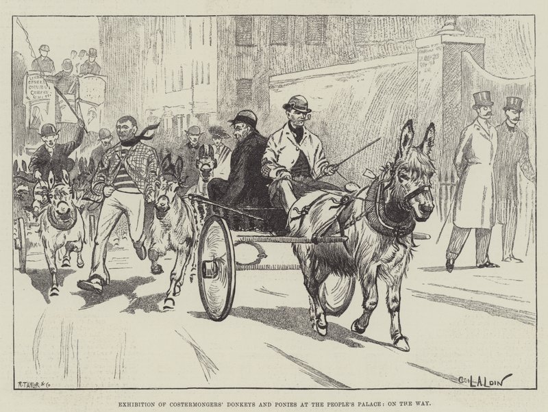 Wystawa osłów i kucyków Costermongers w Pałacu Ludowym, w drodze autorstwa Cecil Charles Windsor Aldin